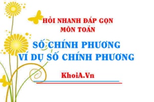 Số chính phương là gì? cho ví dụ số chính phương? cách tìm số chính phương? - Hỏi nhanh đáp gọn môn Toán